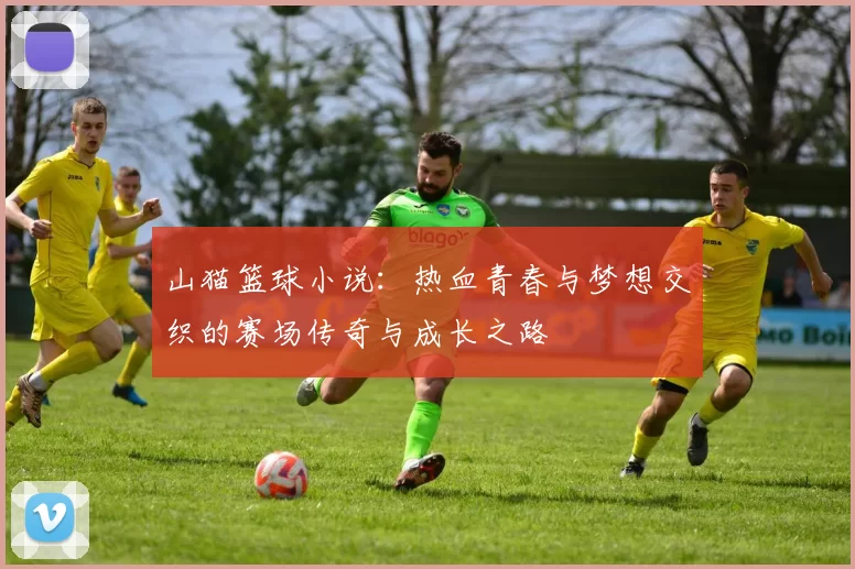 山猫篮球小说：热血青春与梦想交织的赛场传奇与成长之路