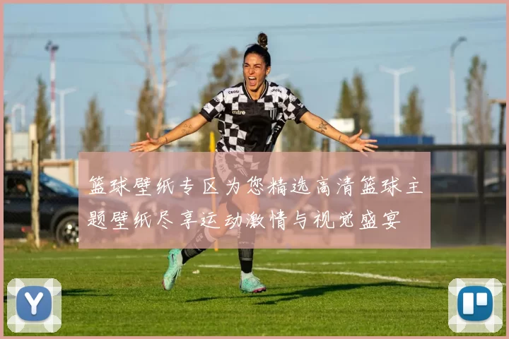 篮球壁纸专区为您精选高清篮球主题壁纸尽享运动激情与视觉盛宴