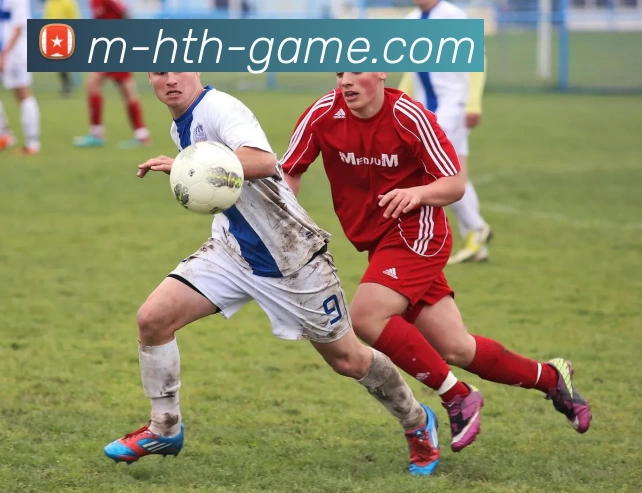 华体会APP 高清赛事图